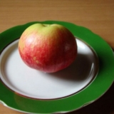 Jabuka jesenja radost